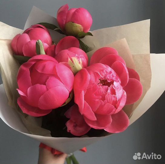 Букет пионов пионы цветы