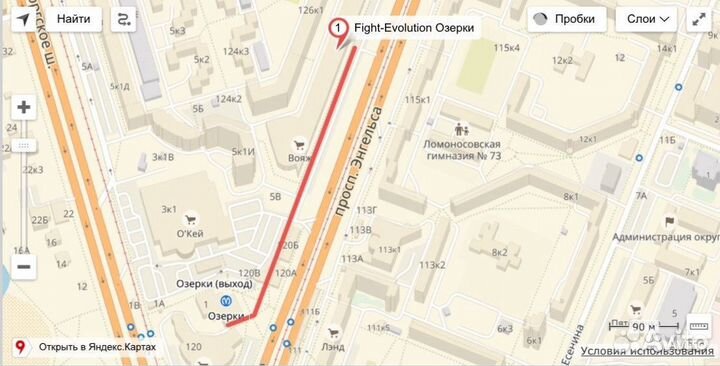 Компрессионные Штаны