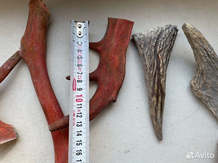 Рога оленя и лося для собак