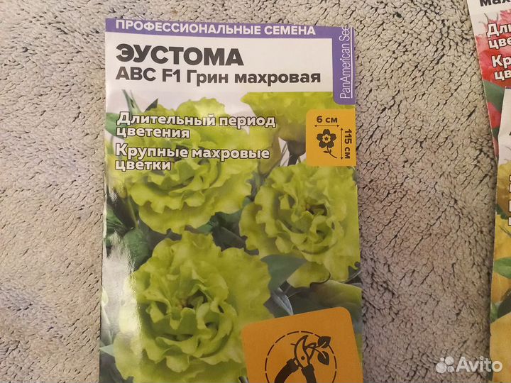 Эустома рассада