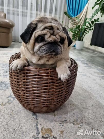 Кашпо из искусственного ротанга