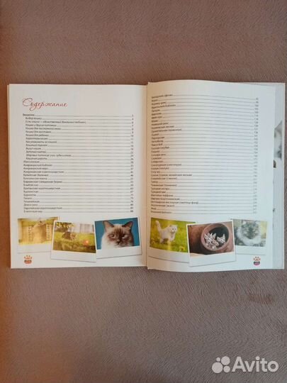 Книга Большая энциклопедия кошек Смирнов Д. С