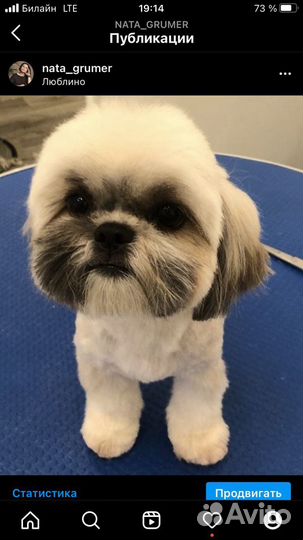 Грумер Стрижка собак и кошек (Люблино)