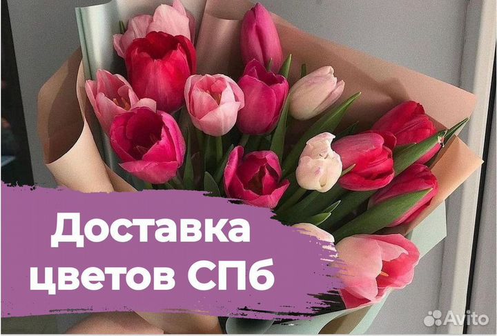 Цветы / букет / тюльпаны