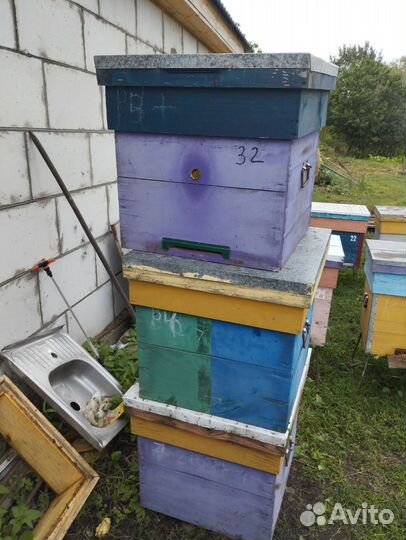 Улей дадан 12