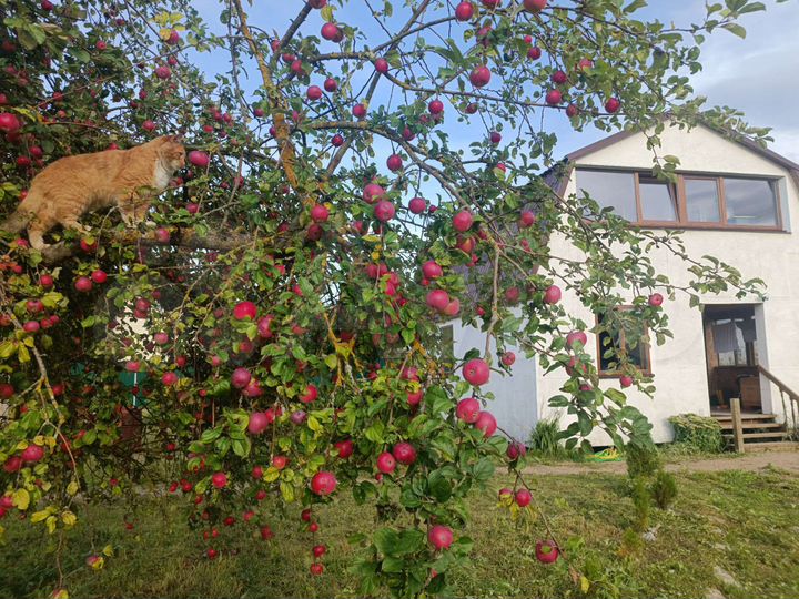 Дом 110 м² на участке 14 сот.