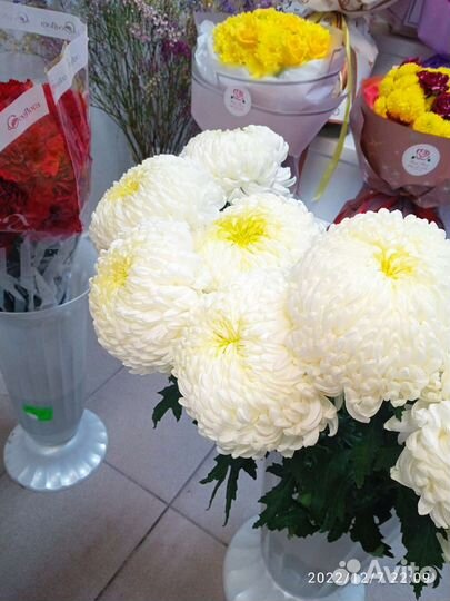 Цветы с доставкой