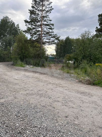 Участок 11 сот. (СНТ, ДНП)