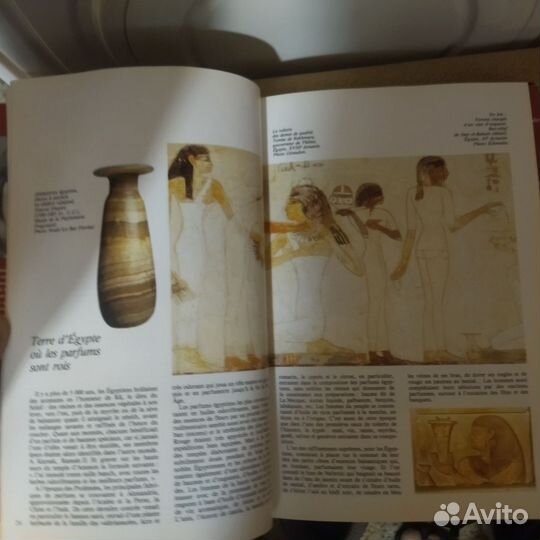 Книга Le livre du parfum