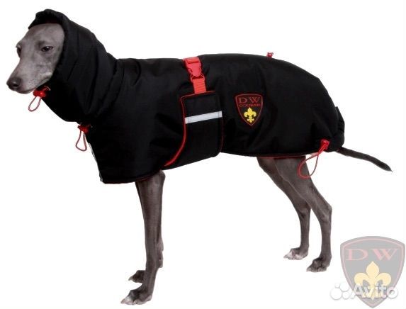 Попона для собак