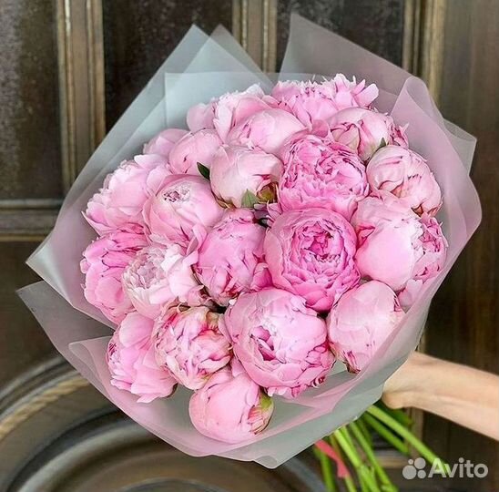 Пионы Букет пионов