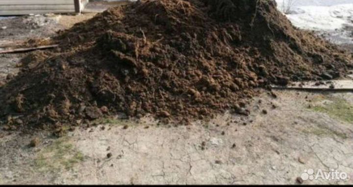 Навоз перегной бесплатно