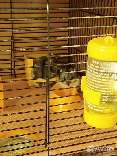 Клетка для грызунов с лабиринтом