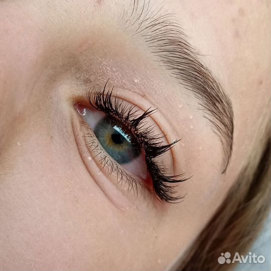 Ресницы, брови