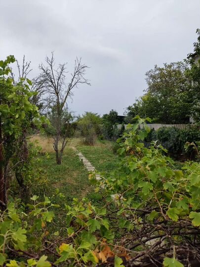 Дом 20 м² на участке 5 сот.