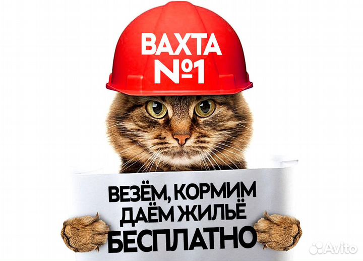 Фасовщик / вахта от 15 смен сф0501