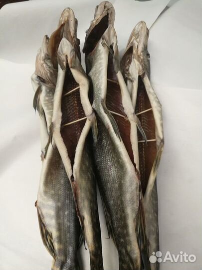 Рыба Щука вял. потр. цена за кг