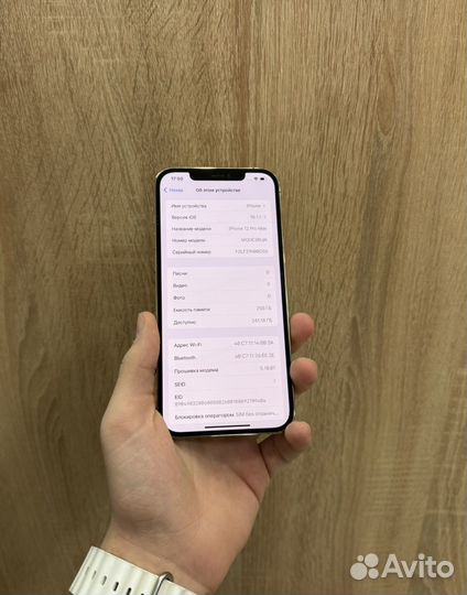 iPhone 12 Pro Max, 256 ГБ