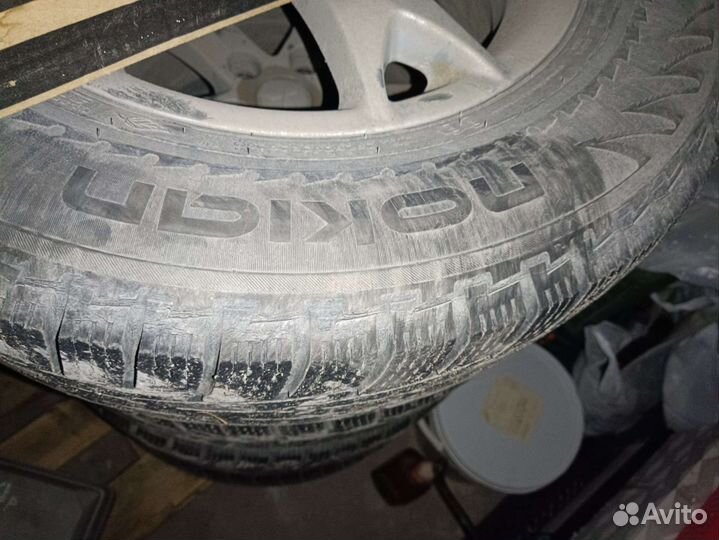 Nokian Tyres Hakka Z SUV 215/70 R16 100R