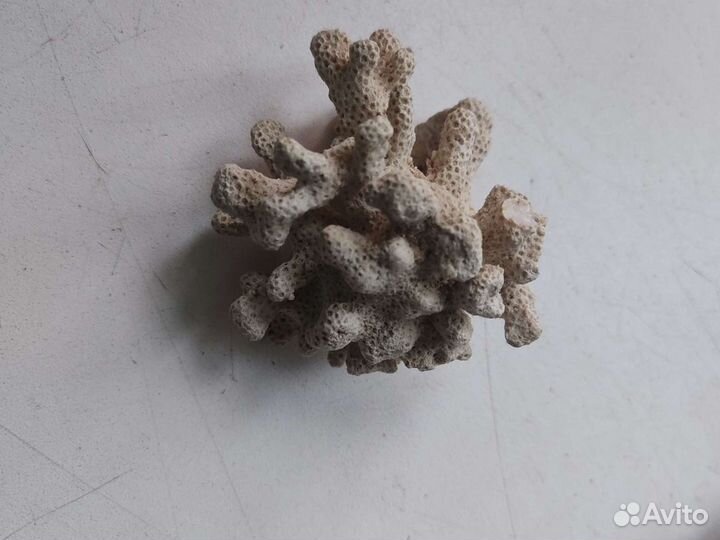 Для аквариума