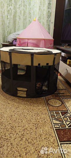 Манеж для питомцев