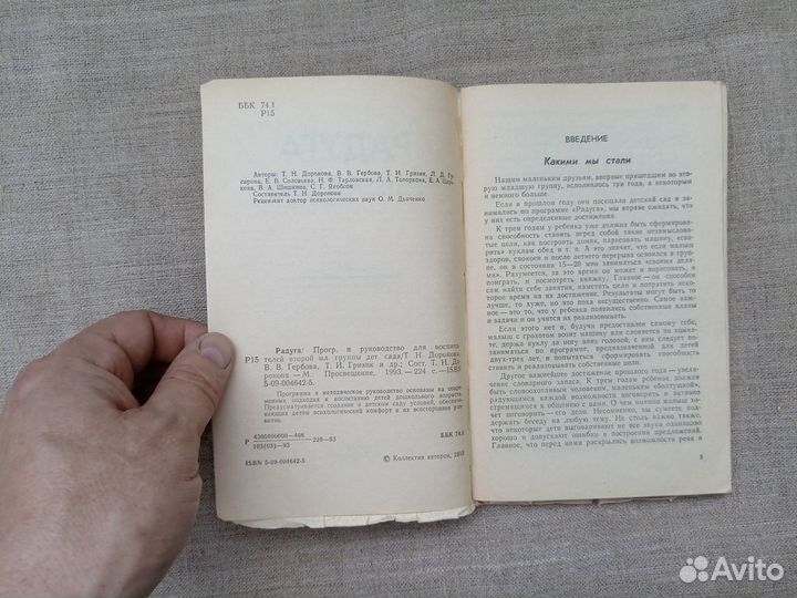 Радуга. Программа и руководство для воспитателей в