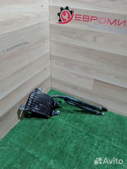 Радиатор масляный Xedos 6 0241009400