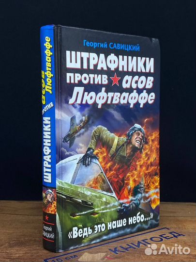 Штрафники против асов Люфтваффе. Ведь это наше неб