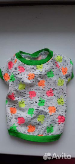 Одежда для кошек