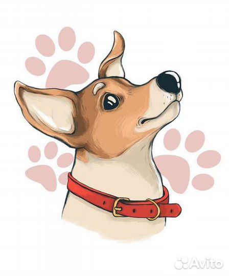 Джек-рассел терьер. Вязка