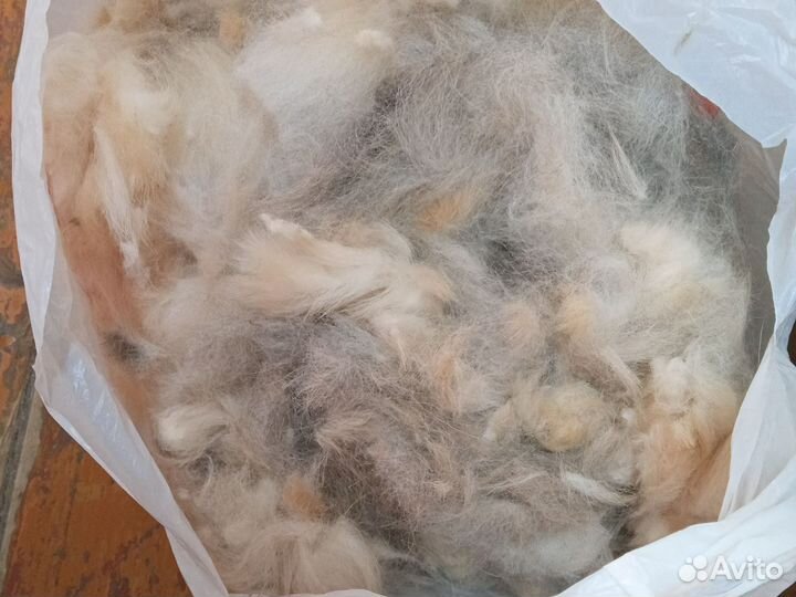 Шерсть с собаки за шоколадку