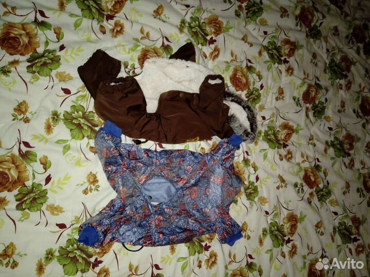 Одежда для собак мелких пород