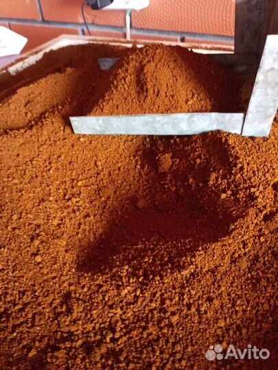 Чага березовая от сборщика