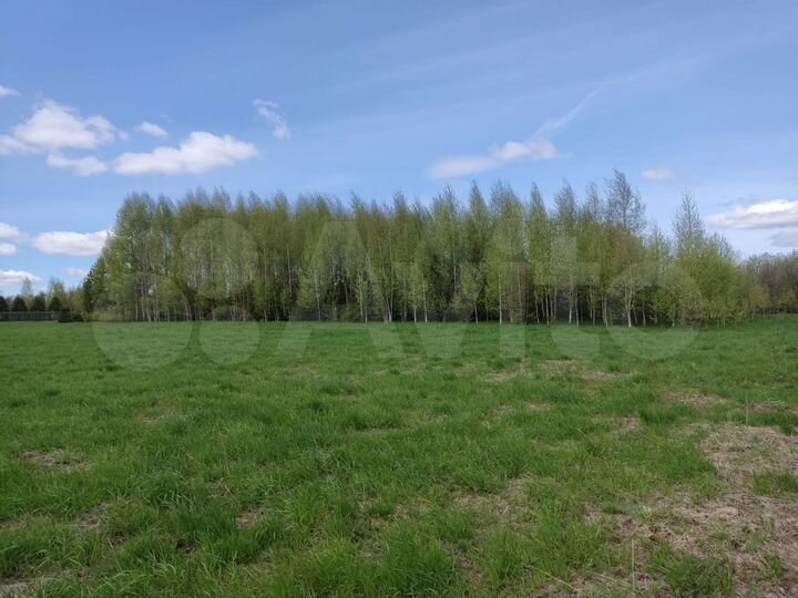 Участок 48 сот. (СНТ, ДНП)