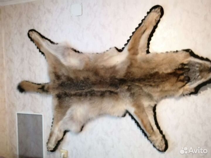 Шкура волчицы