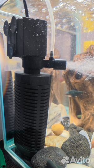 Аквариум + Грунт + Фильтр/Воздух
