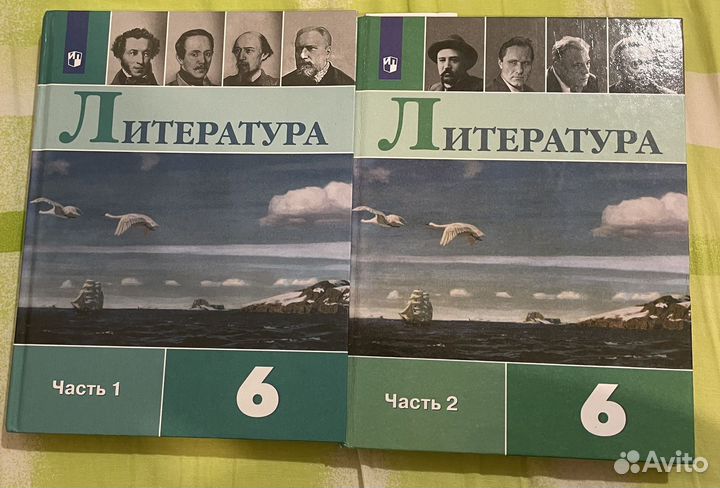 Литература 6 класс 2022 гол