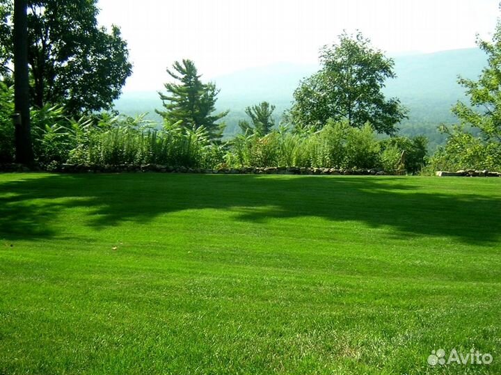 Укладка рулонных газонов под ключ