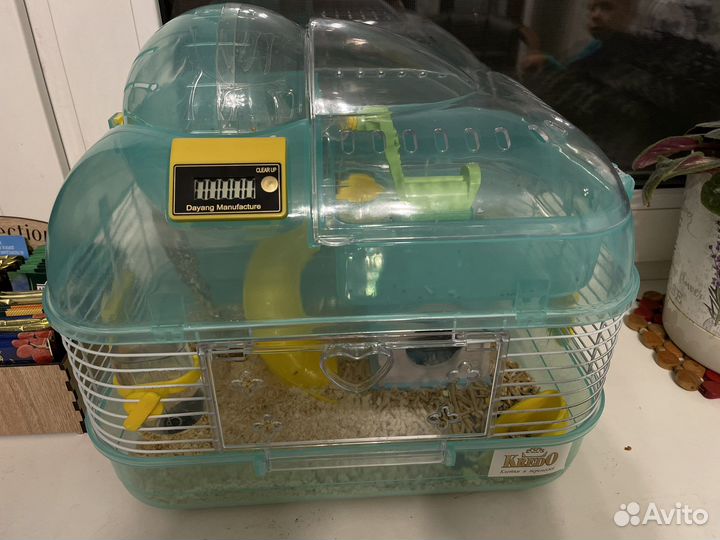 Хомяк с клеткой