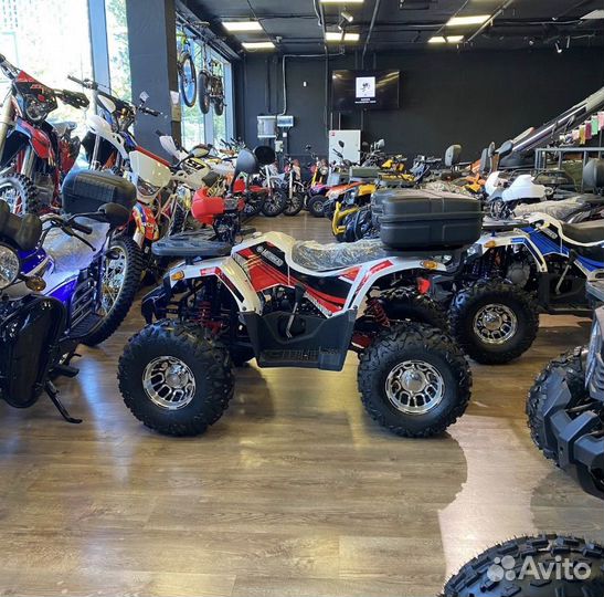 Квадроцикл motorhead hammer 125 lux