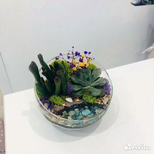 Флорариум с суккулентами