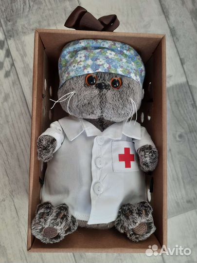 Кот Басик Доктор