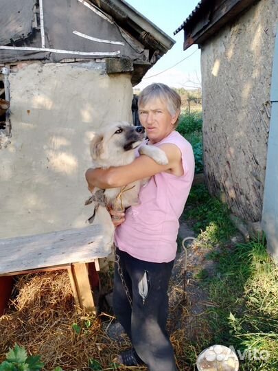 Замечательный ребенок