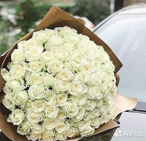 Высокие розы