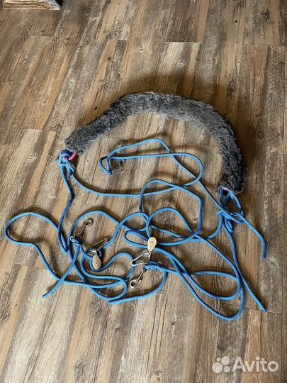 Амуниция для лошади: выездковые ногавки, вальтрапы