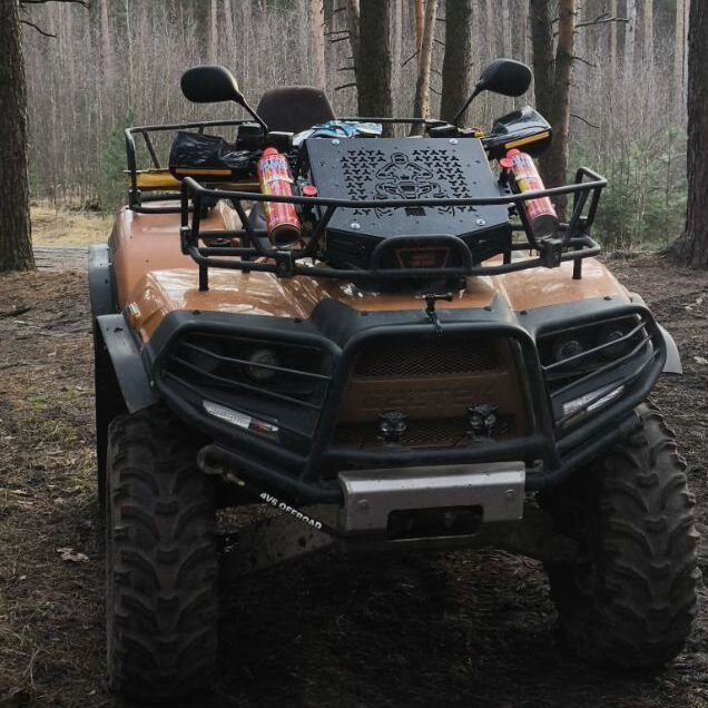 CECTEK Gladiator 550 EFI T6, 2010, 3 000 км