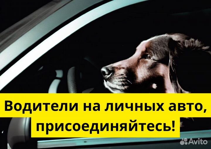 Ваш т/с – ваша работа в Яндекс Go