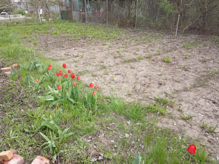 Дача 32 м² на участке 6 сот.