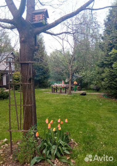 Скворечники для птиц