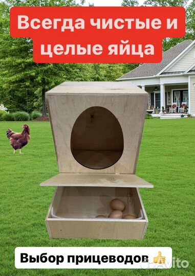 Гнездо для кур с яйцесборником